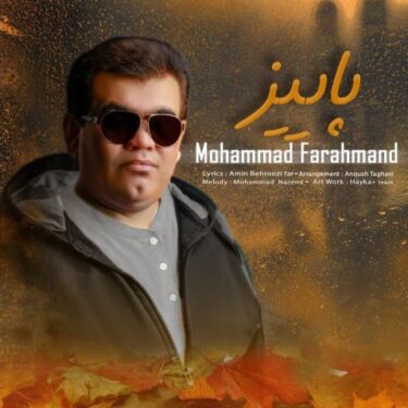 دانلود آهنگ جدید محمد فرهمند پاییز